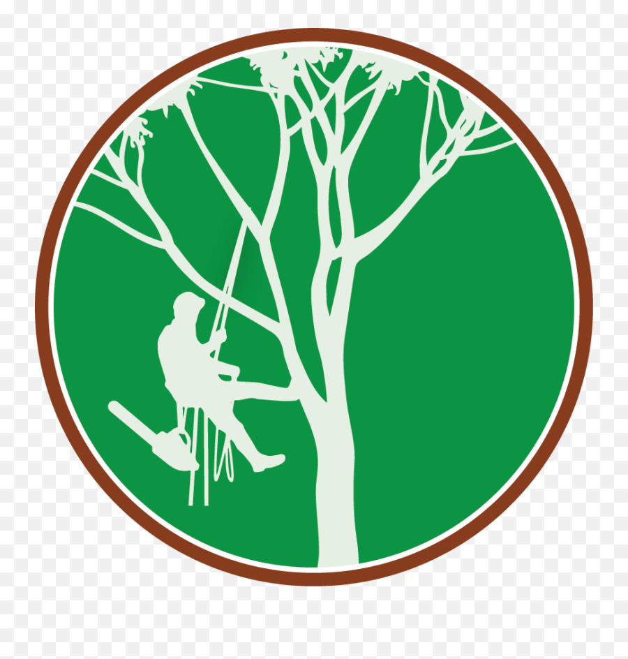 Top Down Lawn Tree Care - Tree Climber Clipart Png,Tree Top Down Png