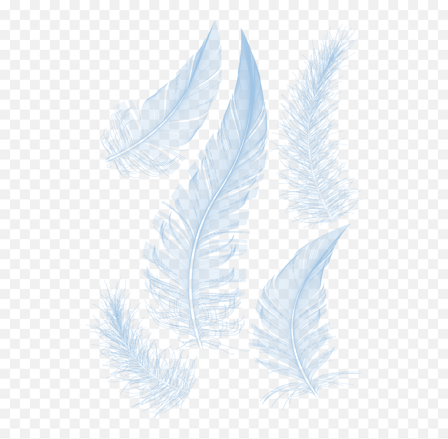 White Feathers Feather Hq Image Free Png - Powerpoint White Powerpoint Background Design,Feather Transparent Background