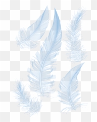 White Feathers Hq Image Free Png - Powerpoint Background Design