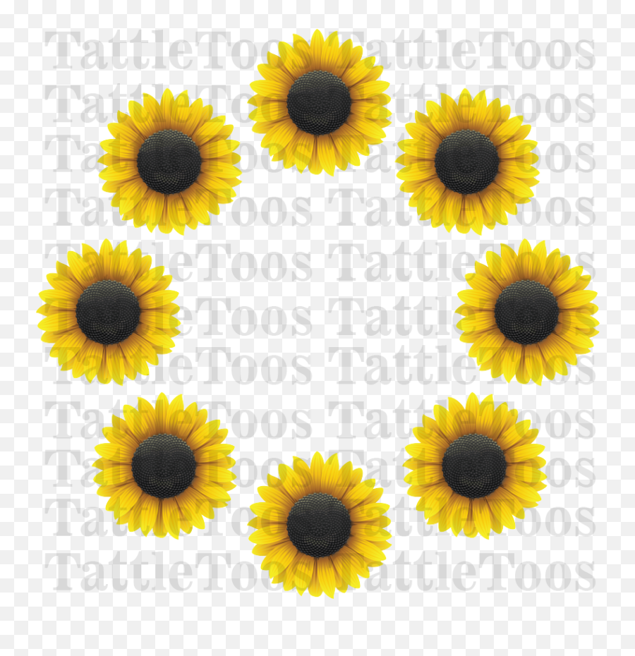 Sunflower Ring Digital Png - Sunflower,Sunflowers Transparent Background