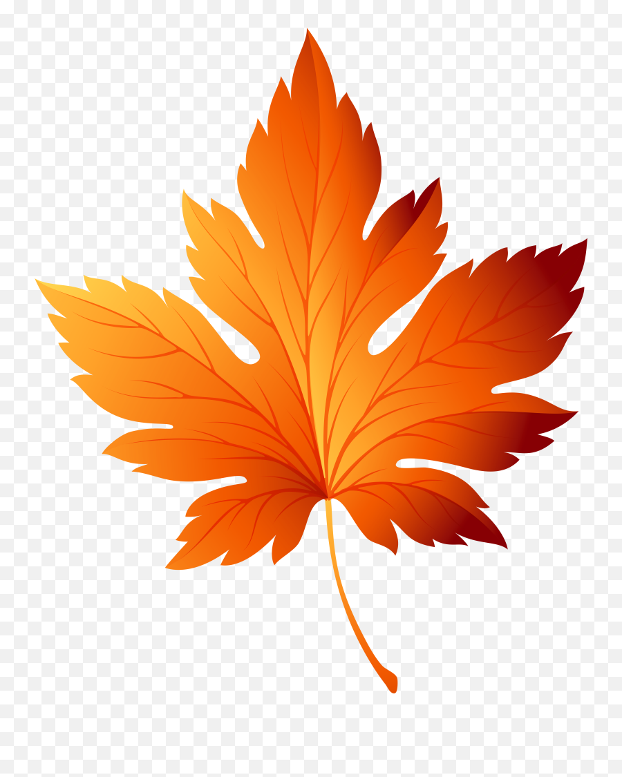 Library Of Veined Leaf Png Black And - Fall Leaf Vector Png,Autumn Leaves Png