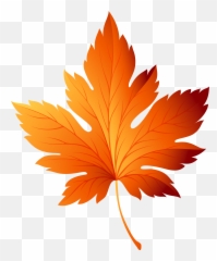 Library Of Veined Leaf Png Black And - Fall Leaf Vector Png,Autumn Leaves Png