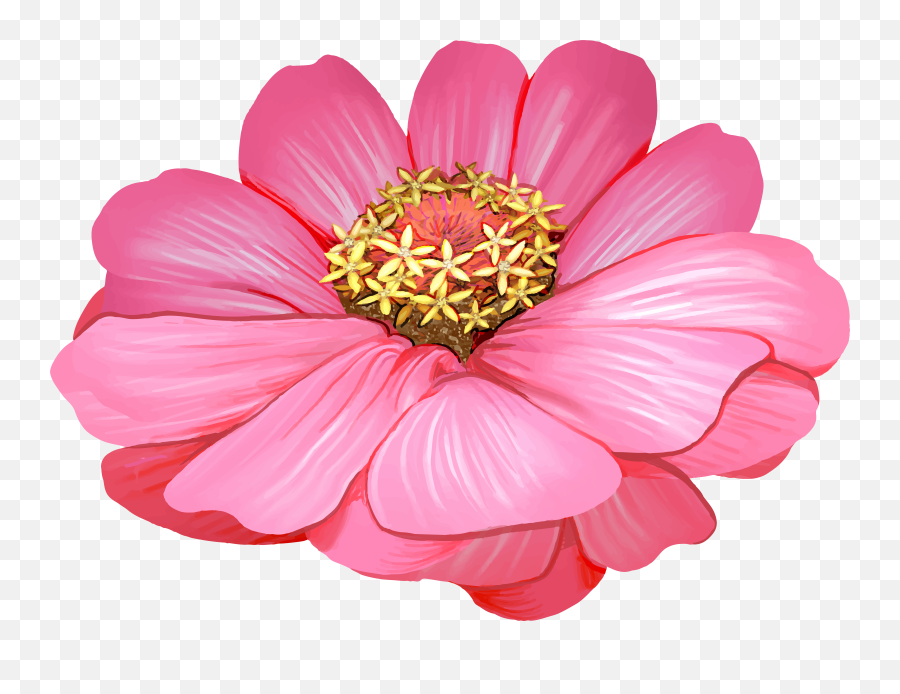 100579 - Png Images Pngio Common Zinnia,Jigglypuff Png