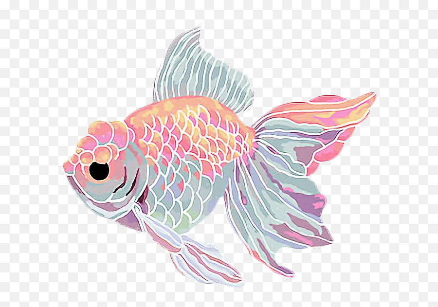 Download Goldfish Clipart Kawaii - Aesthetic Fish Clipart Png,Goldfish Transparent Background