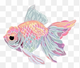 Download Goldfish Clipart Kawaii - Aesthetic Fish png