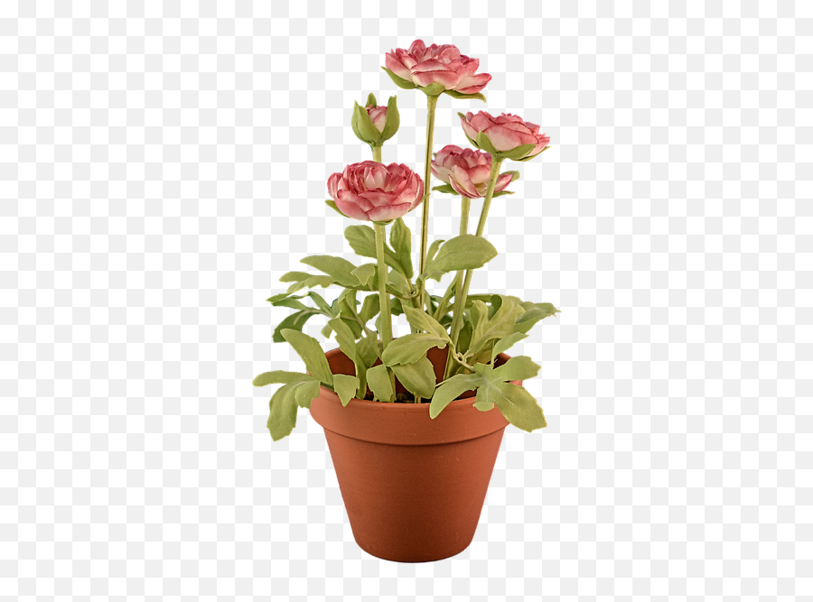 Flower Pot Png Transparent Potpng Images Pluspng - Flowers In Pot Transparent Background,Plant Transparent Background