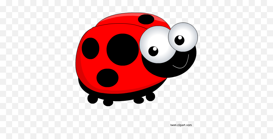 Free Ladybug Or Ladybird Clip Ar - Ladybug Cartoon Png,Ladybug Png