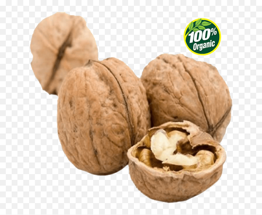 English Walnut Png Image Background - Almonds Vs Walnuts,Walnut Png