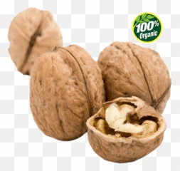 English Walnut Png Image Background - Almonds Vs Walnuts,Walnut Png
