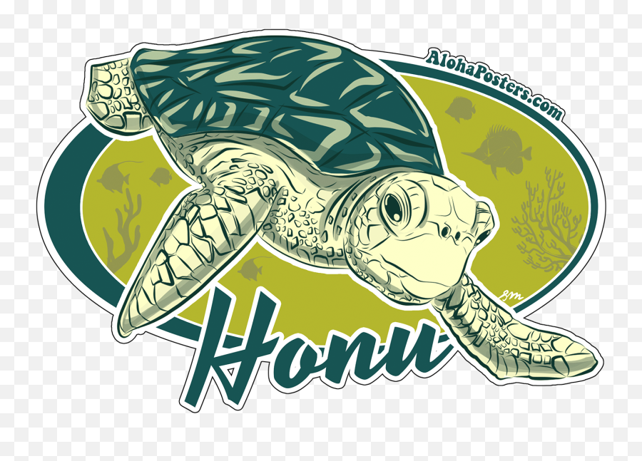 X 3 - Ridley Sea Turtle Png,Turtle Png