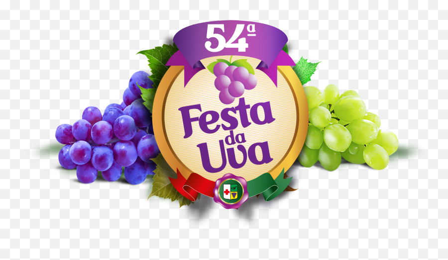 Grape Grapevine Family Vitis Logo Plant - Grape Png,Grapevine Png