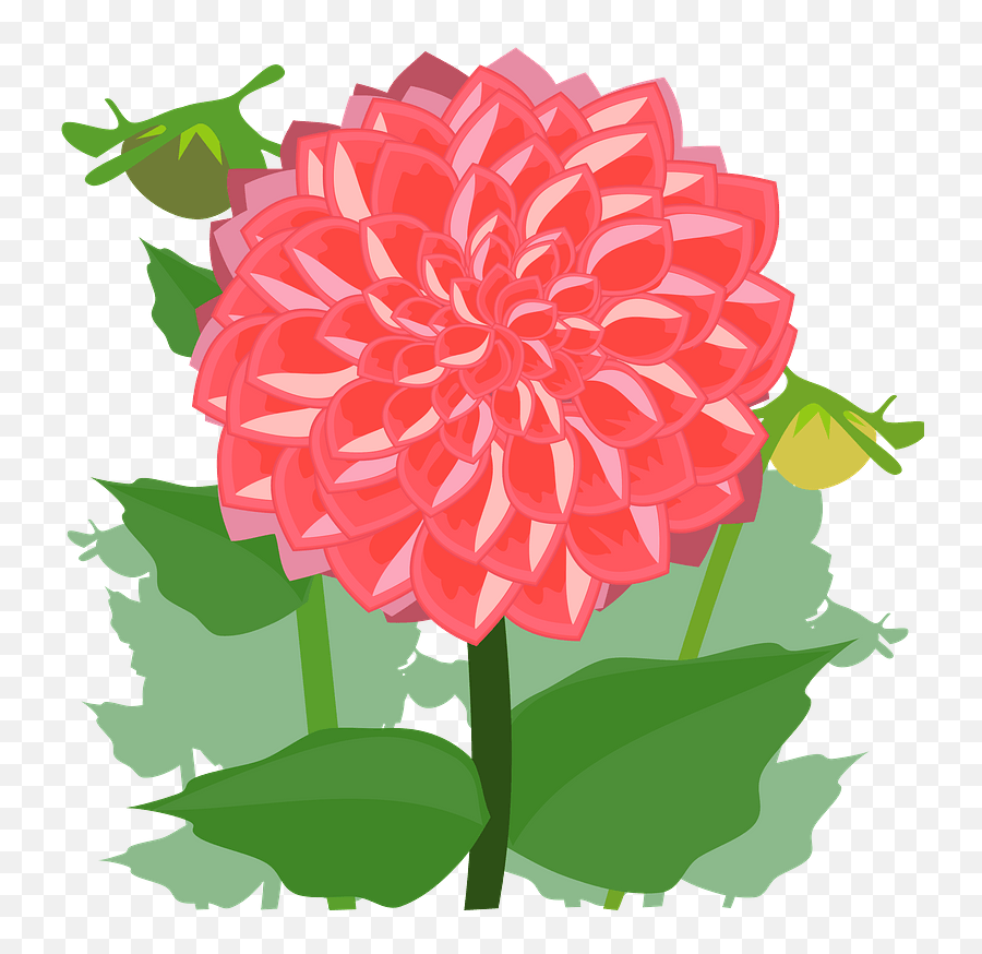 Red Flower With Stem And Leaves Clipart - Flower Dahlia Clipart Png,Red Flower Transparent