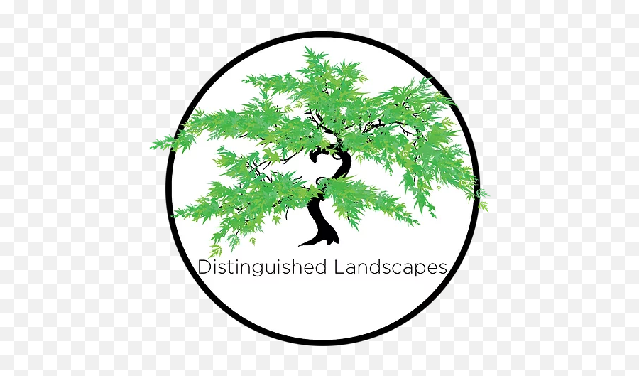Gallery Distinguished Land - Japanese Maple Tree Design Png,Snapseed Logo