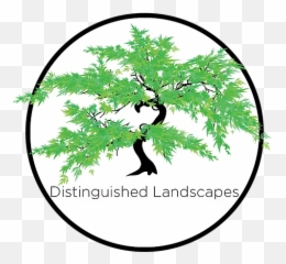 Gallery Distinguished Land - Japanese Maple Tree Design png
