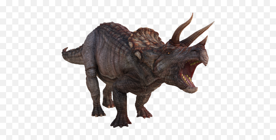 Dinosaurs Page 5 - 5 Dinosaurs Png,Triceratops Png