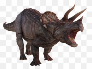 Dinosaurs Page 5 - 5 Dinosaurs Png,Triceratops Png