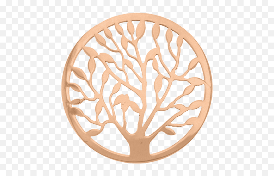 Webstore My Imenso Of Life - Livets Tre Øredobber Gull Png,Tree Of Life Logo