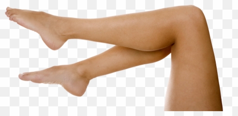 Leg Clipart Calf - Woman Legs Png