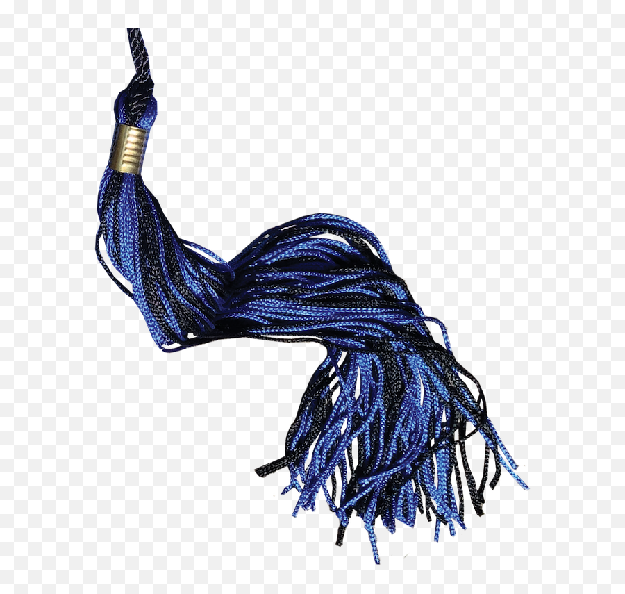 Graduation Tassel - 2020 Graduation Tassel Png,Tassel Png