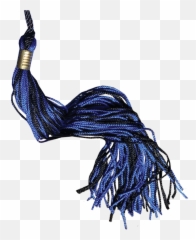 Graduation Tassel - 2020 Graduation Tassel Png,Tassel Png