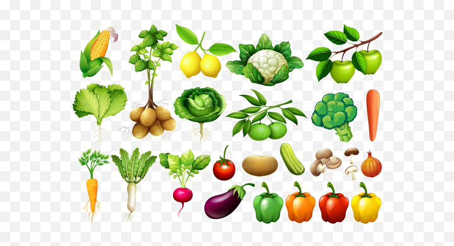 Vegetable Png Background Image - Transparent Background Vegetables Images Png,Vegetables Transparent Background
