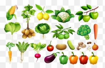 Vegetable Png Background Image - Transparent Vegetables Images