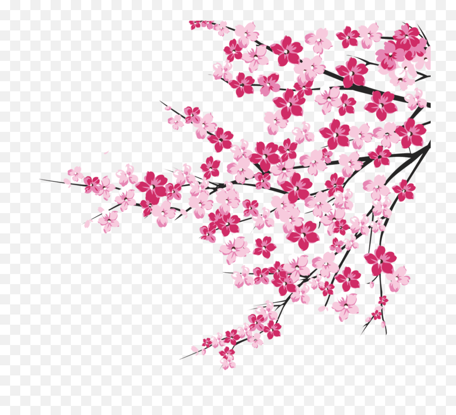Cherry Blossom Tree Branch Cliparts - Cherry Blossom Tree Clipart Png,Cherry Blossom Branch Png