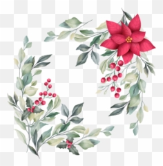 Pin - Food Png,Poinsettia Transparent Background