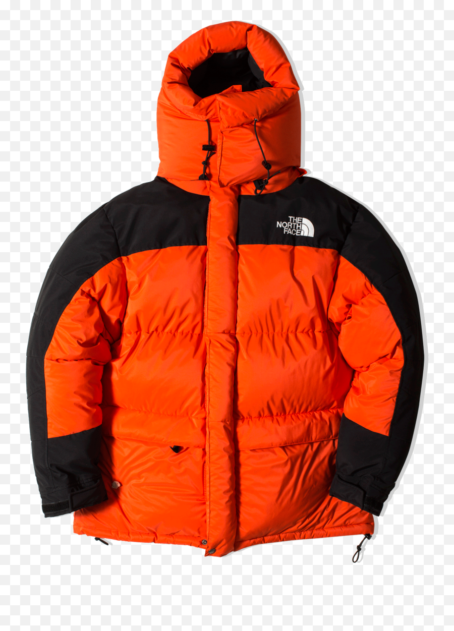 The North Face 1994 Retro Himalayan Futurelight Parka - Purple The North Face 1994 Retro Himalayan Parka Png,Icon Retro Daytona Jacket For Sale