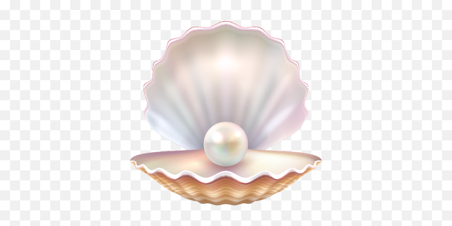 Index Of Assetsimagesicons - Pearl Shell Png,Clam Icon