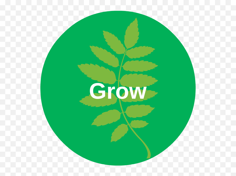 People Organisation Planning Pro - Actions Business Language Png,People Icon Growth