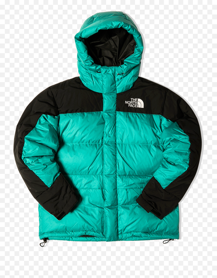 The North Face 1994 Retro Himalayan Futurelight Parka - Hooded Png,Icon Retro Daytona Leather Jacket