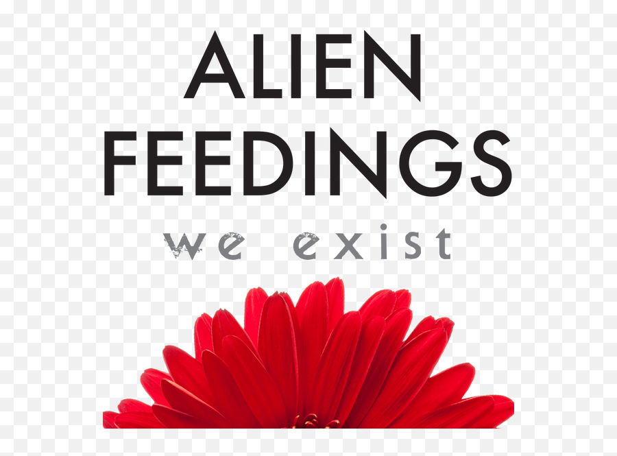 Alien Feedings We Exist - Oca Ibirapuera Png,Alien On Chrome Icon