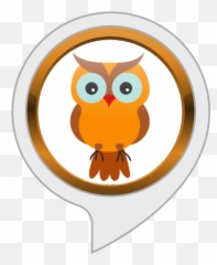 Amazoncom Sleep Sounds Owl Alexa Skills - Soft png