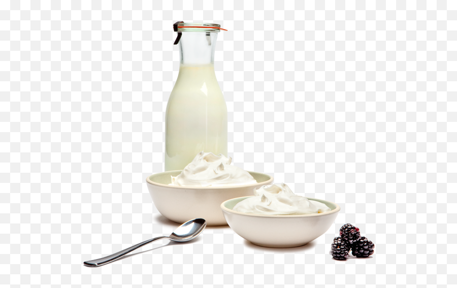 Download Our Yogurt - Milk And Yoghurt Diet Png,Yogurt Png