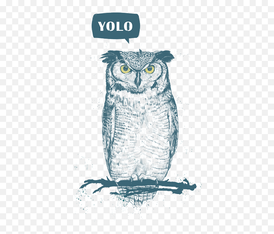 Yolo T - Shirt For Sale By Balazs Solti Aviator Owl Drawing Png,Yolo Icon