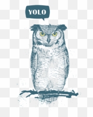 Yolo T - Shirt for Sale by Balazs Solti Aviator Owl Drawing png