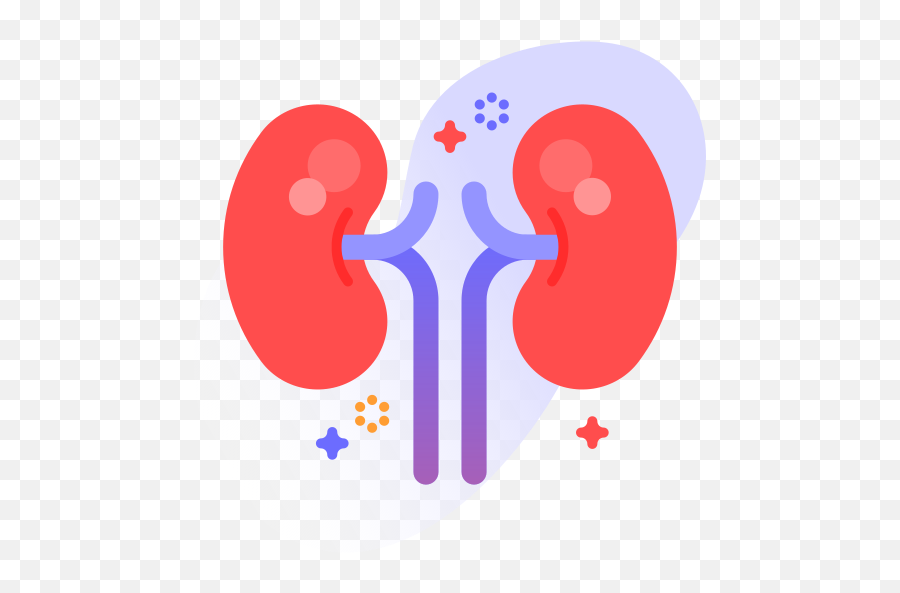 Department Danphe Care - Free Icon Kidney Icon Png,Nephrology Icon