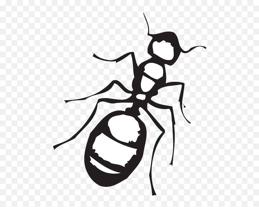 Top View Sketch Ant Art Insect Legs - Public Domain Gambar Sketsa Semut Png,Legs Png