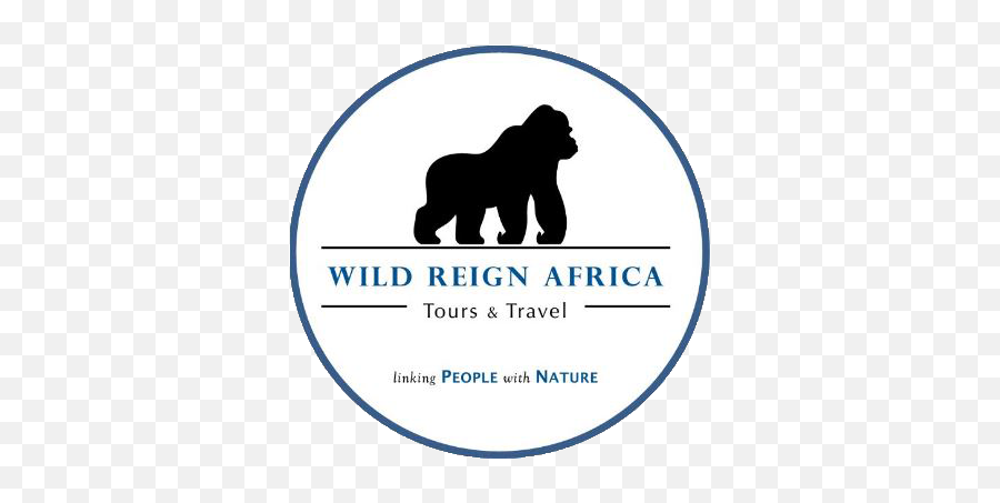 Wild Reign Africa Tour And Travel Company - Bwindi Impenetrable National Park Png,Gorilla Logo