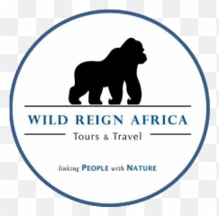 Wild Reign Africa Tour And Travel Company - Bwindi Impenetrable National Park Png,Gorilla Logo