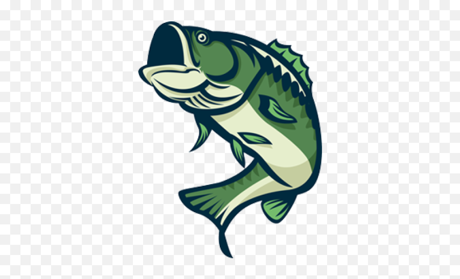 Download Free Png Bass Fish 92 Images In Collection - Clipart Bass Fish Png,Bass Png