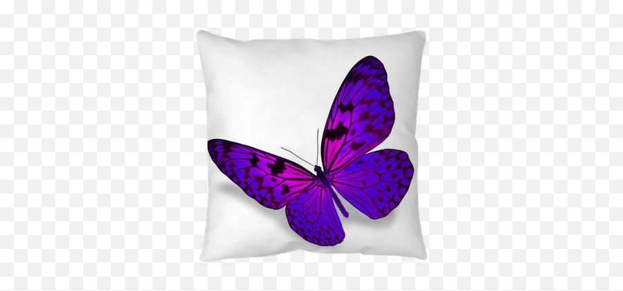 Purple Butterfly Throw Pillow U2022 Pixers - We Live To Change Stock Photography Png,Purple Butterfly Png