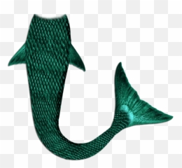 Mermaid Tail Png Transparent - Mermaid Tail Image Png,Mermaid Tail Png