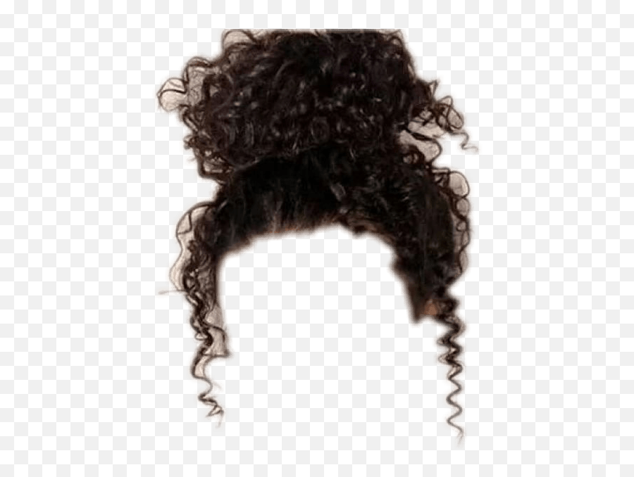 Curly Bun Hair - Messy Bun On Mixed Girls Png,Wavy Hair Png - free  transparent png images 