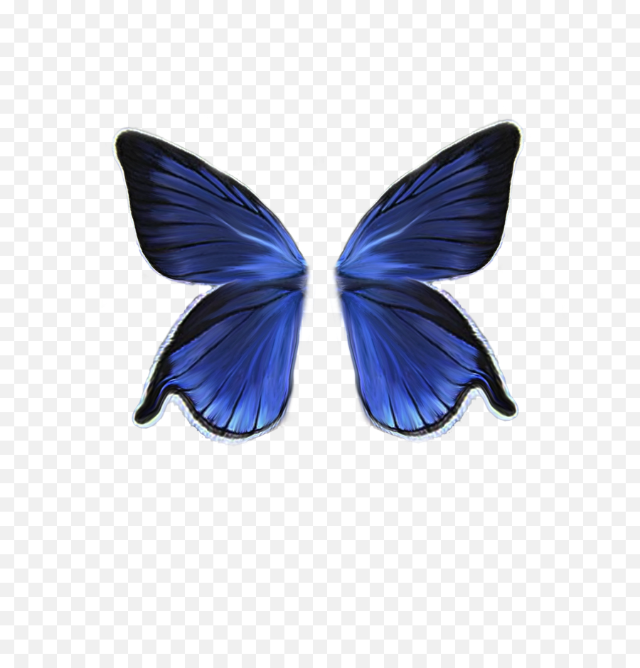 Butterfly Wings Png Image - Transparent Background Butterfly Wings Png,Butterfly Wing Png