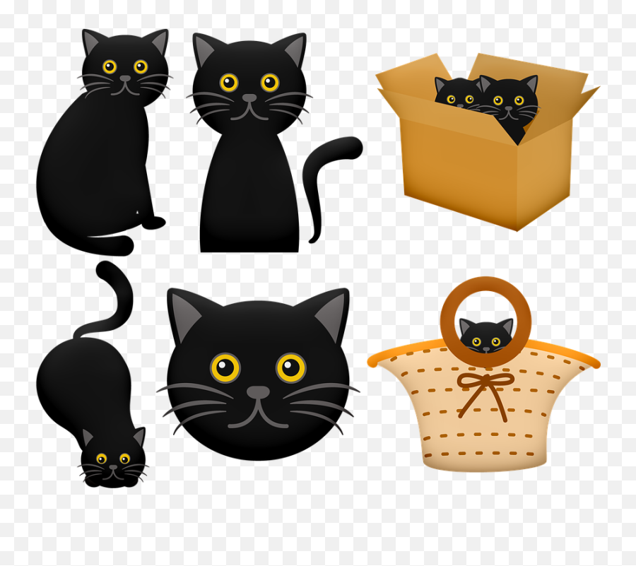 Halloween Black Cat In Box - Free Image On Pixabay Black Cat Face Clipart Png,Black Cat Transparent