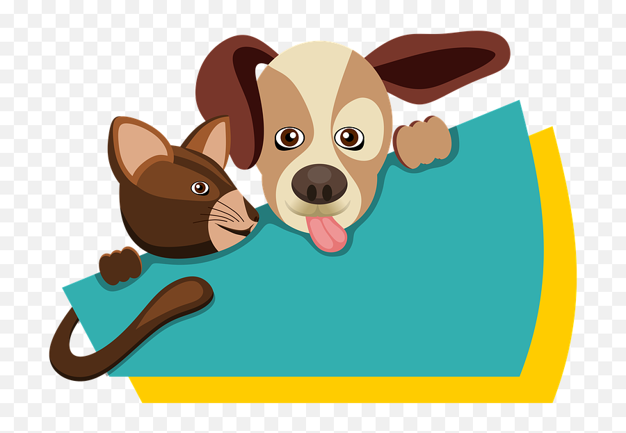 Animals Dog Cat - Free Image On Pixabay Perro Y Gato Dibujo Png,Cachorro Png