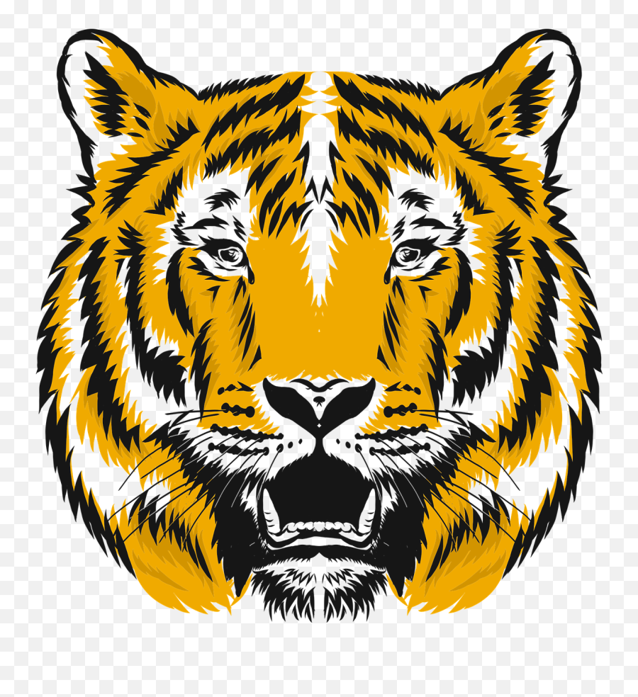 Tiger Zoo Nature - Free Vector Graphic On Pixabay Tiger Png,Tiger Face Png