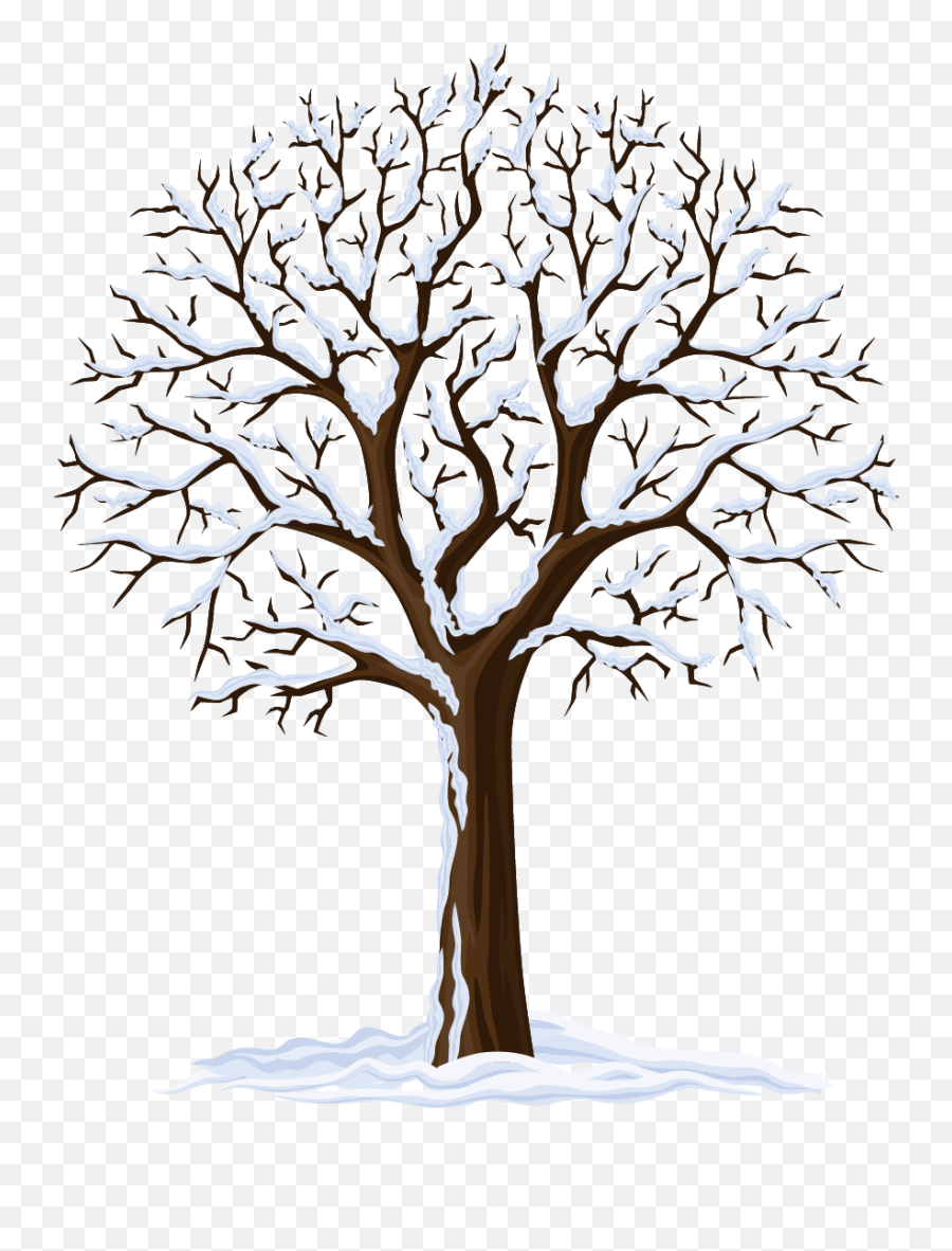 Four Seasons Hotels And Resorts Autumn Clip Art - Apple Tree Winter Tree Vector Png,Apple Tree Png